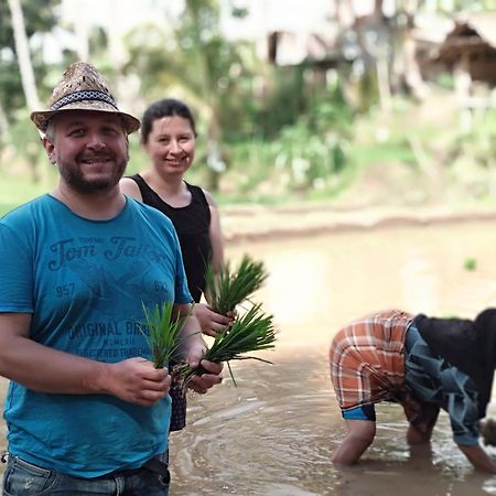 Alfarizi Homestay Tetebatu Dış mekan fotoğraf
