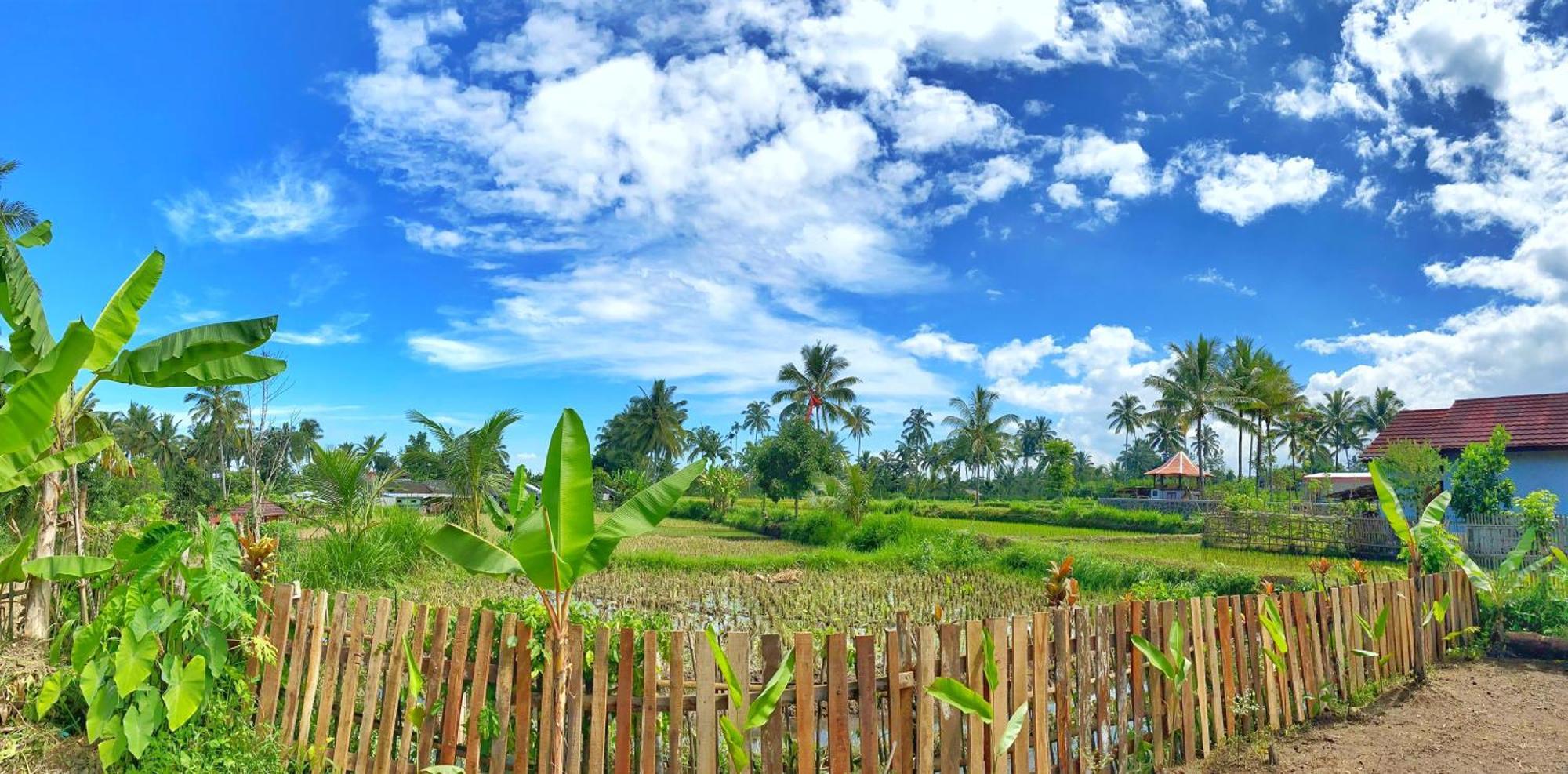 Alfarizi Homestay Tetebatu Dış mekan fotoğraf