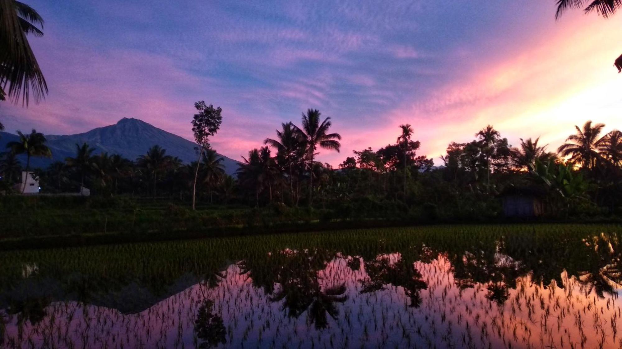 Alfarizi Homestay Tetebatu Dış mekan fotoğraf