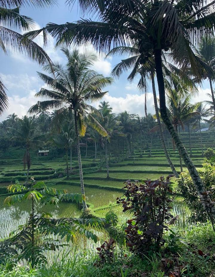 Alfarizi Homestay Tetebatu Dış mekan fotoğraf