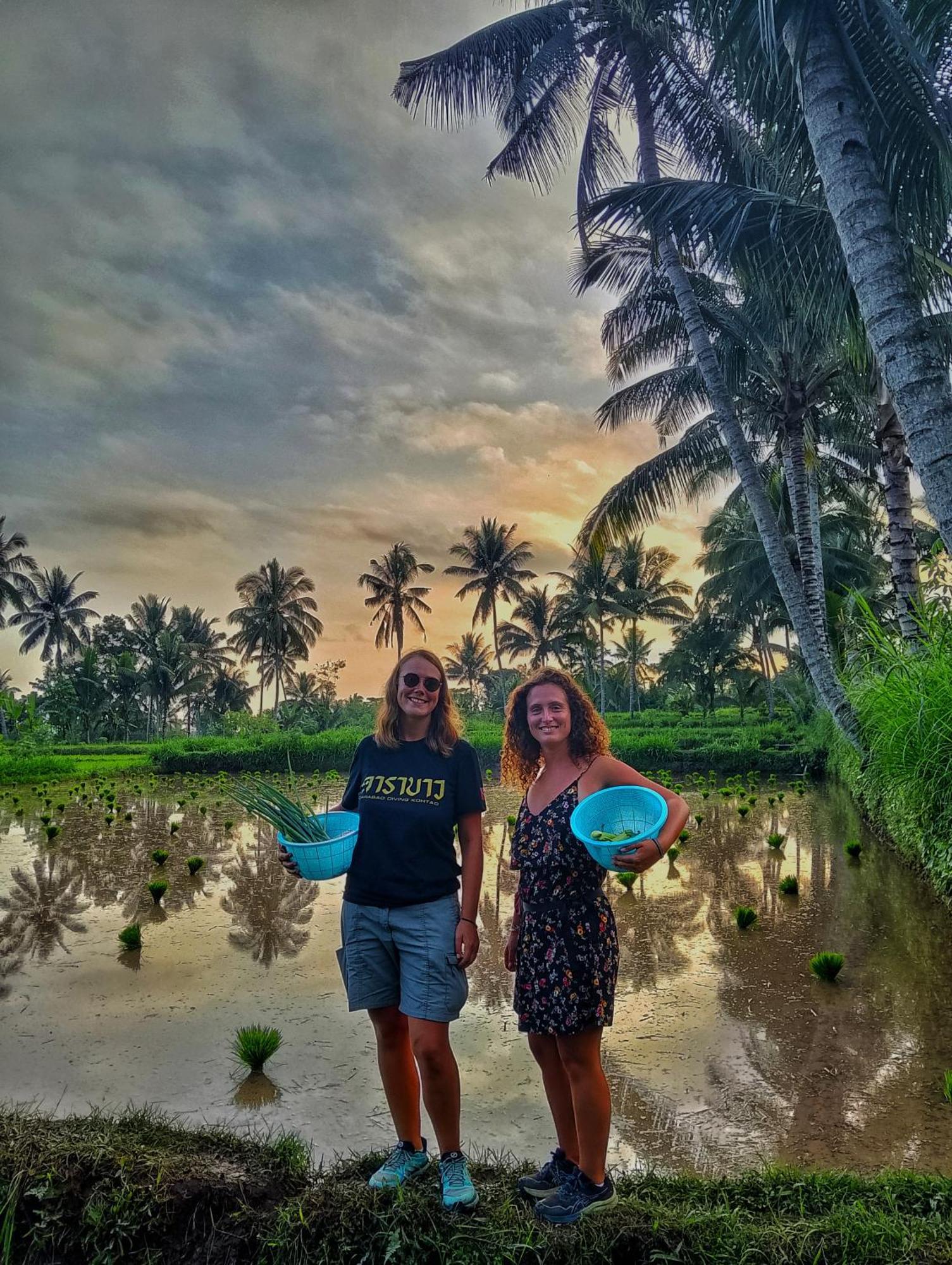 Alfarizi Homestay Tetebatu Dış mekan fotoğraf