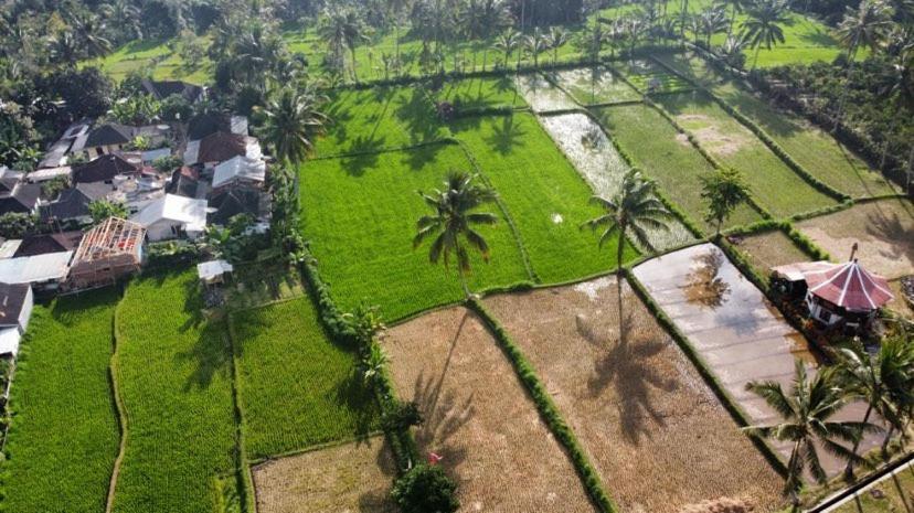 Alfarizi Homestay Tetebatu Dış mekan fotoğraf